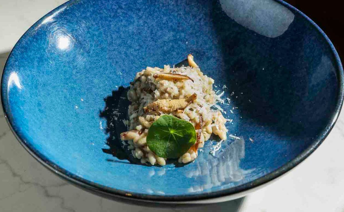 Risotto de hongos con fondo de shiitake y queso grana padano del Chef Alberto Lazo / Foto: Esteban Torreblanca