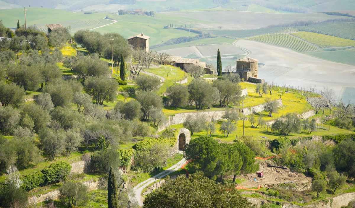 Under the Tuscan Sun