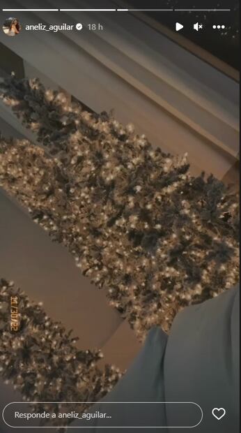 Con varios árboles de Navidad, así es la lujosa decoración de los Aguilar
