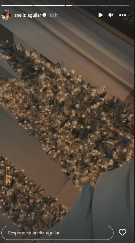 Con varios árboles de Navidad, así es la lujosa decoración de los Aguilar