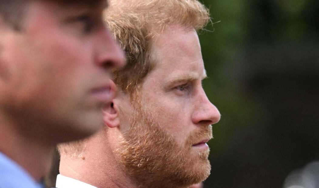 Enrique de Sussex y su hermano, el príncipe William / AFP
