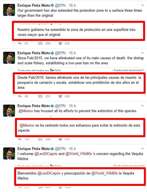 El mensaje de Leonardo DiCaprio al presidente de México