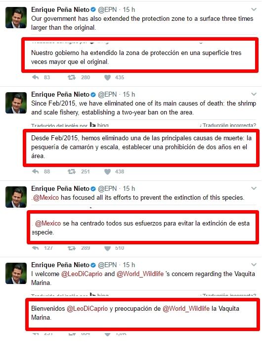 El mensaje de Leonardo DiCaprio al presidente de México