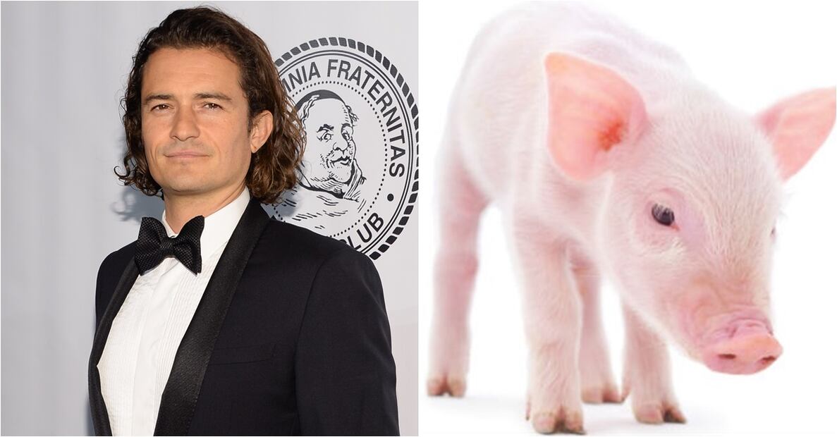 Las fobias más extrañas de las celebridades 