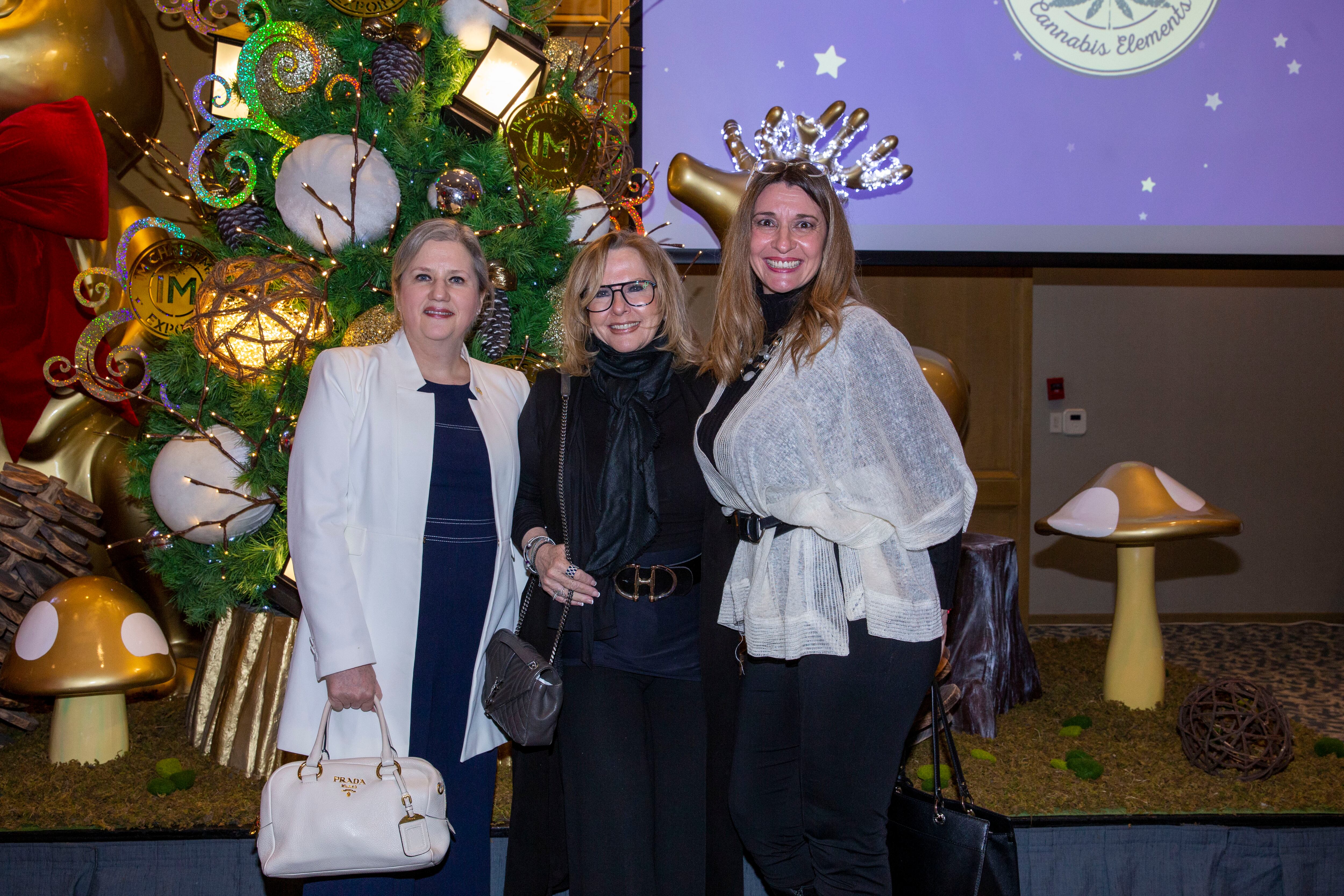 Mercia Leite, Esther Mizrahi y Viviana Díaz. (Foto: Edgar Silva Fuentes S.)