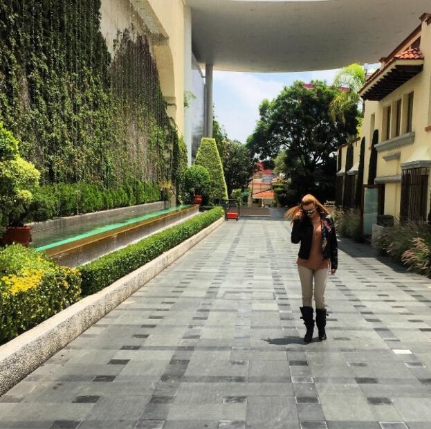 Cómo luce Marjorie de Sousa en sus primeros meses de embarazo 