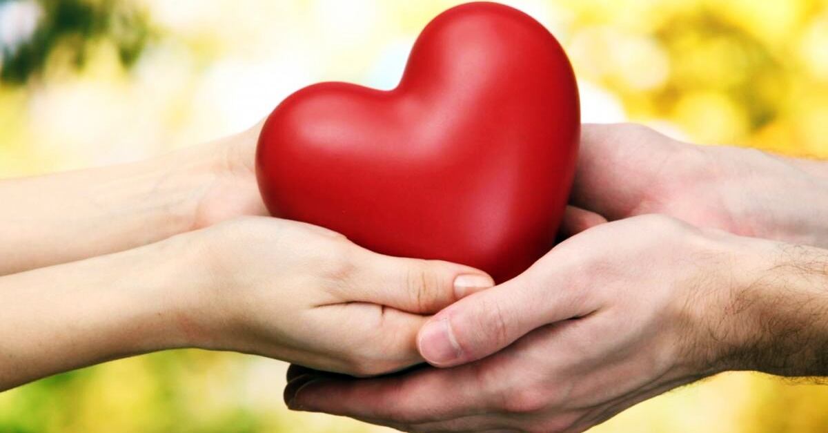 <p>Nuestras heridas pueden ser un catalizador que nos impulse a ser mejores personas o un pozo que nos hunda, dependiendo de cómo las afrontemos.<strong> (Foto: Especial)</strong></p>

<p>&nbsp;</p>
