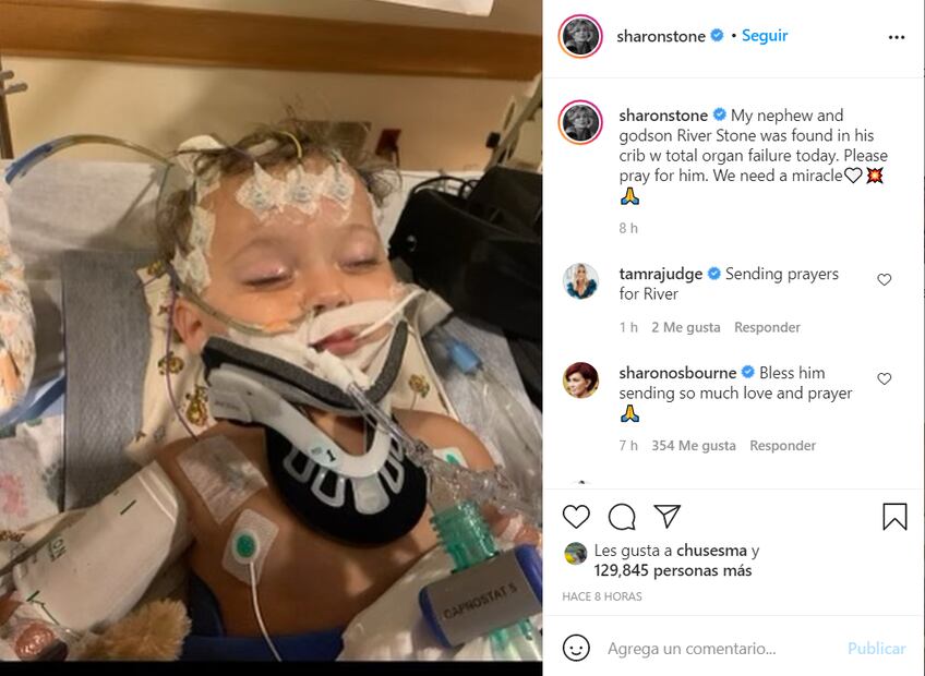 Sharon Stone pide oraciones para salvar a su sobrino de 11 meses, quien tiene insuficiencia orgánica
