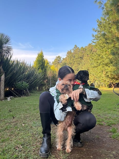 Lylo Fa, Rommel Pacheco/Presume a tu mascota/@soyfotografodeperros y Cortesía