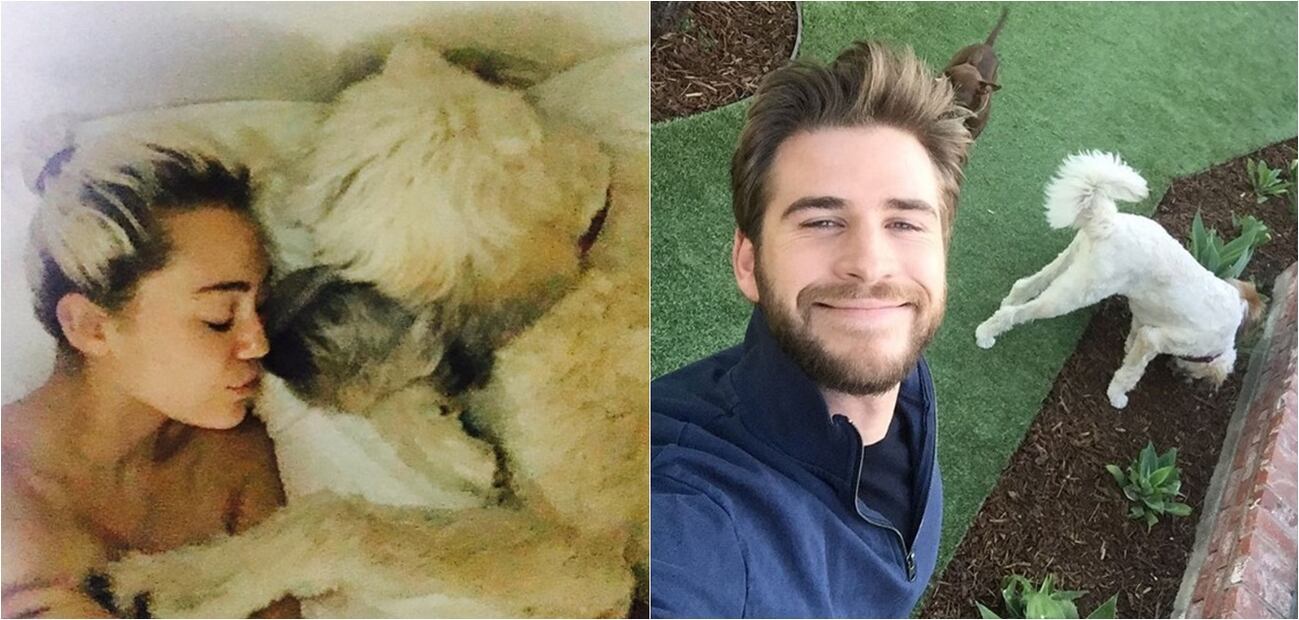 Las fotos de reconciliación entre Liam Hemsworth y Miley Cyrus 