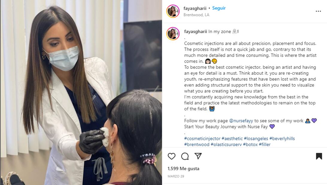 Conoce a la guapa Fay Asghari, cuñada de Britney Spears