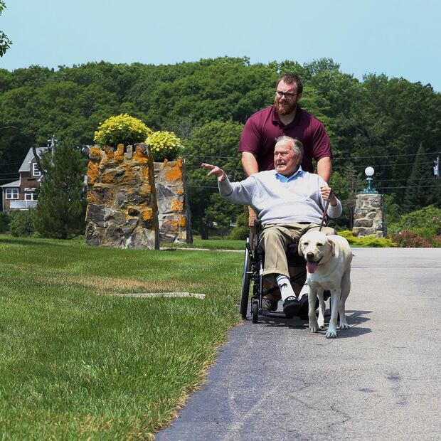 Las fotos más tiernas de Sully, el perro de George Bush padre