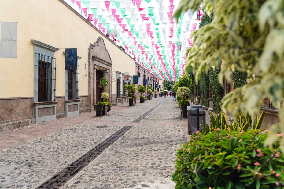 24 horas en: Tequila, pueblo mágico