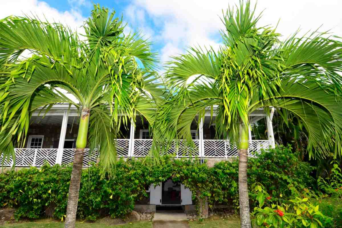 Hoteles del mundo donde se hospeda la realeza y que cuentan con sello de aprobación real