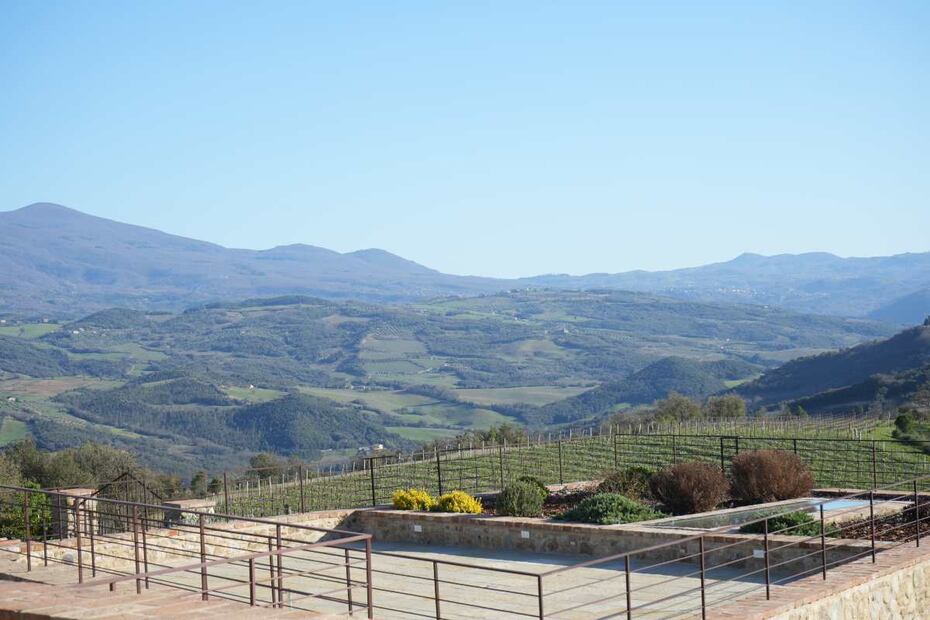 Under the Tuscan Sun
