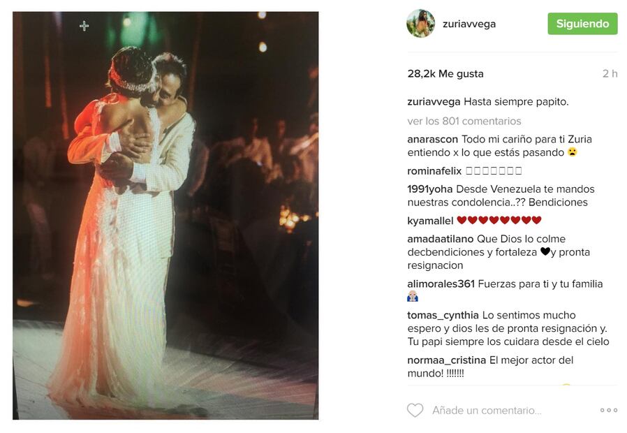 Así despidió Zuria Vega a su papá Gonzalo Vega