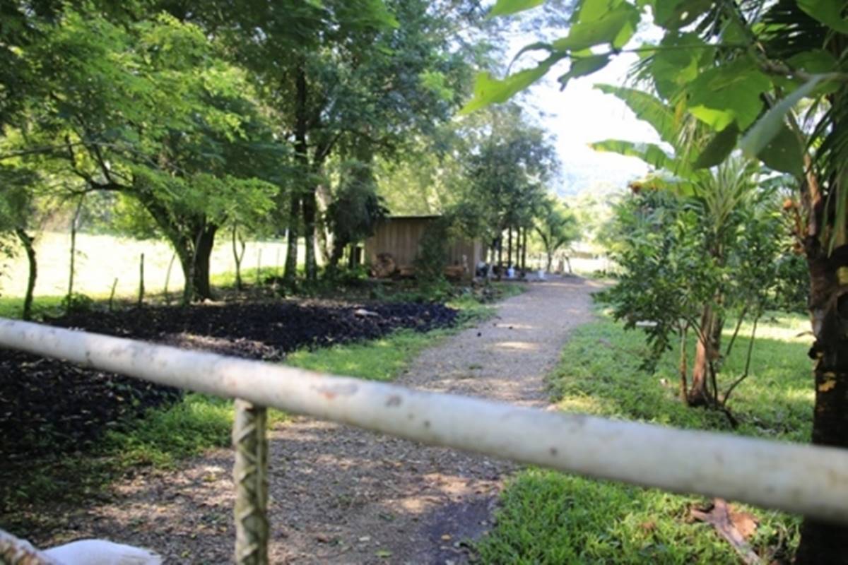 Así es la Finca Rocío de los hijos del presidente López Obrador