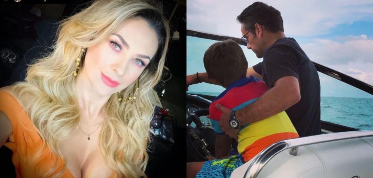 Luis Miguel buscaría disminuir la pensión alimenticia de sus hijos por la familia de Aracely Arámbula 