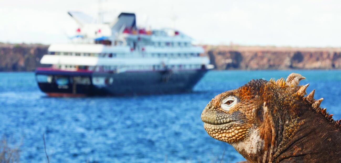 Los mejores cruceros del mundo