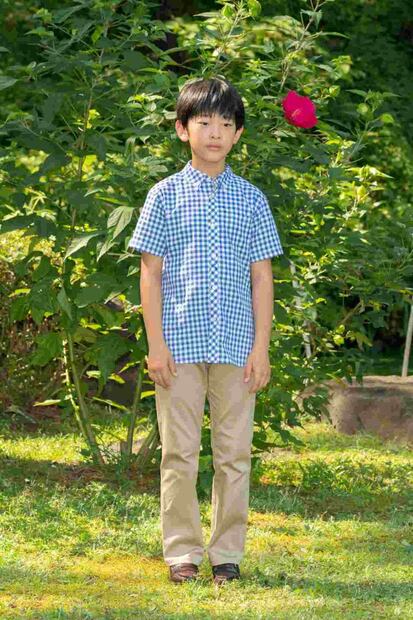 Adoptar niños, la posible estrategia en Japón para que las mujeres no lleguen al trono