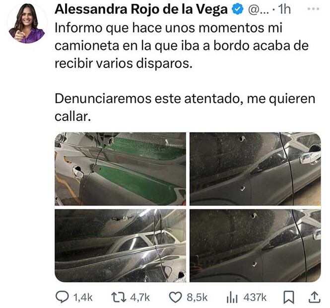 Alessandra Rojo de la Vega/X
