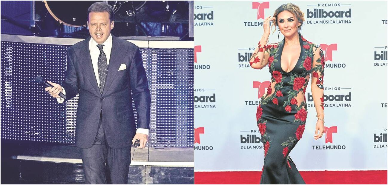 Luis Miguel buscaría disminuir la pensión alimenticia de sus hijos por la familia de Aracely Arámbula 