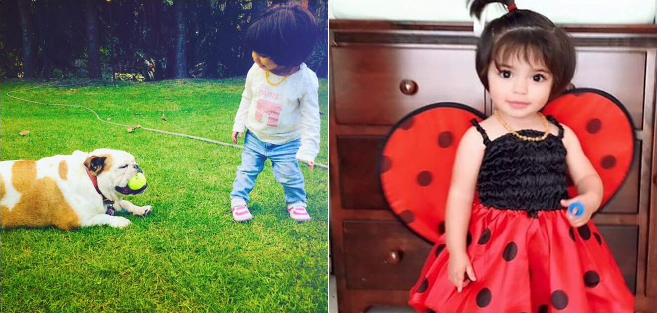 <p>La adorable hija de Eugenio Derbez y Alessandra Rosaldo tiene una cómplice de juegos, una perrita llamada Fiona. <strong>(Fotos: Instagram)</strong></p>
