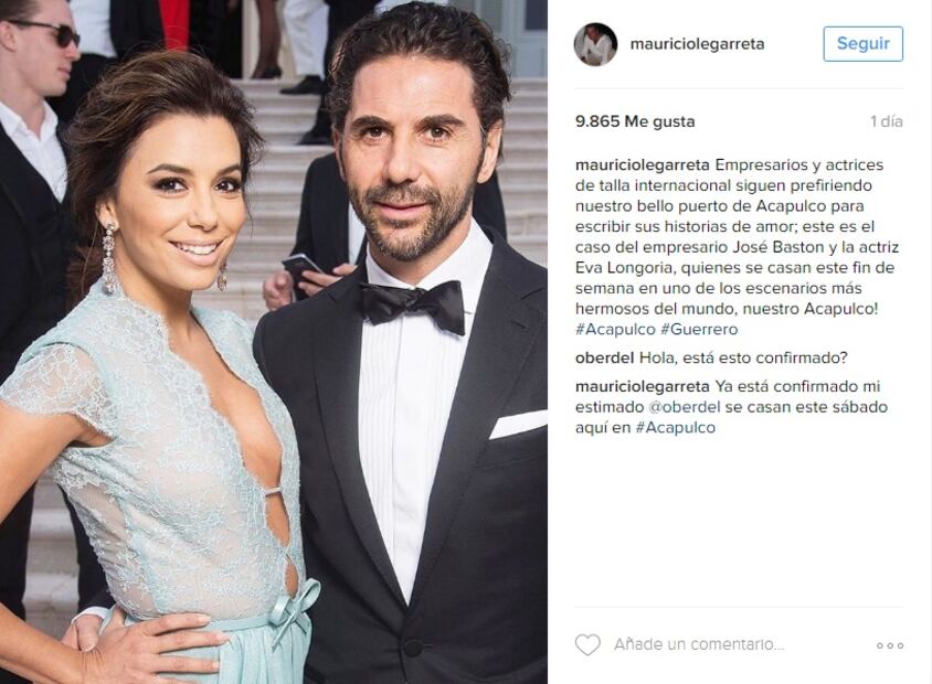 Top 5: Los osos de los famosos en 2016