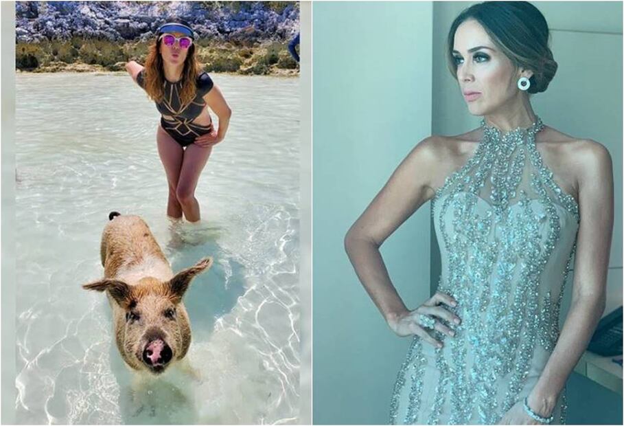 Tras 4 embarazos, Jacky Bracamontes se somete a cirugía estética