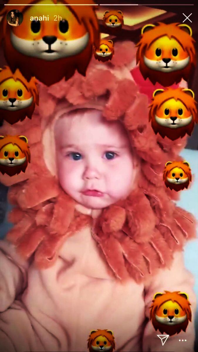 Anahí disfraza a su hijo Manuelito de león ¡y roba suspiros en Internet! 
