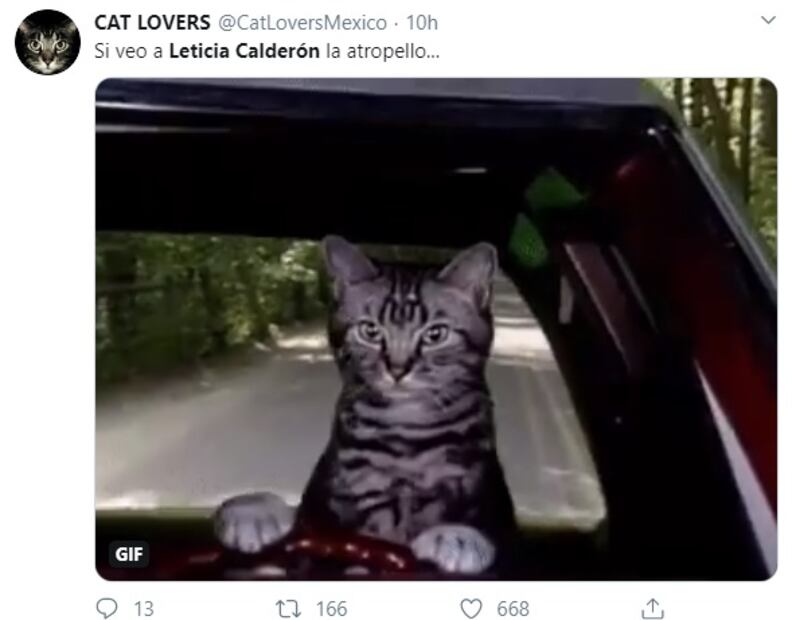 "Si veo un gato en periférico, lo atropello": Leticia Calderón y su fobia a los gatos
