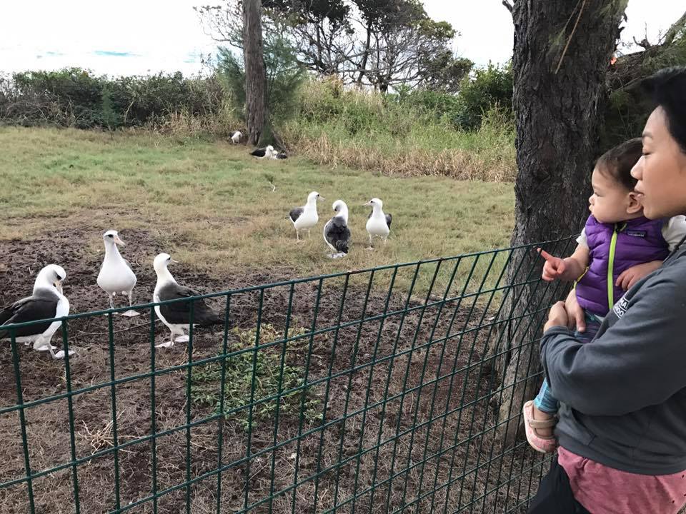 Las vacaciones de Mark Zuckerberg y su familia en Kauai