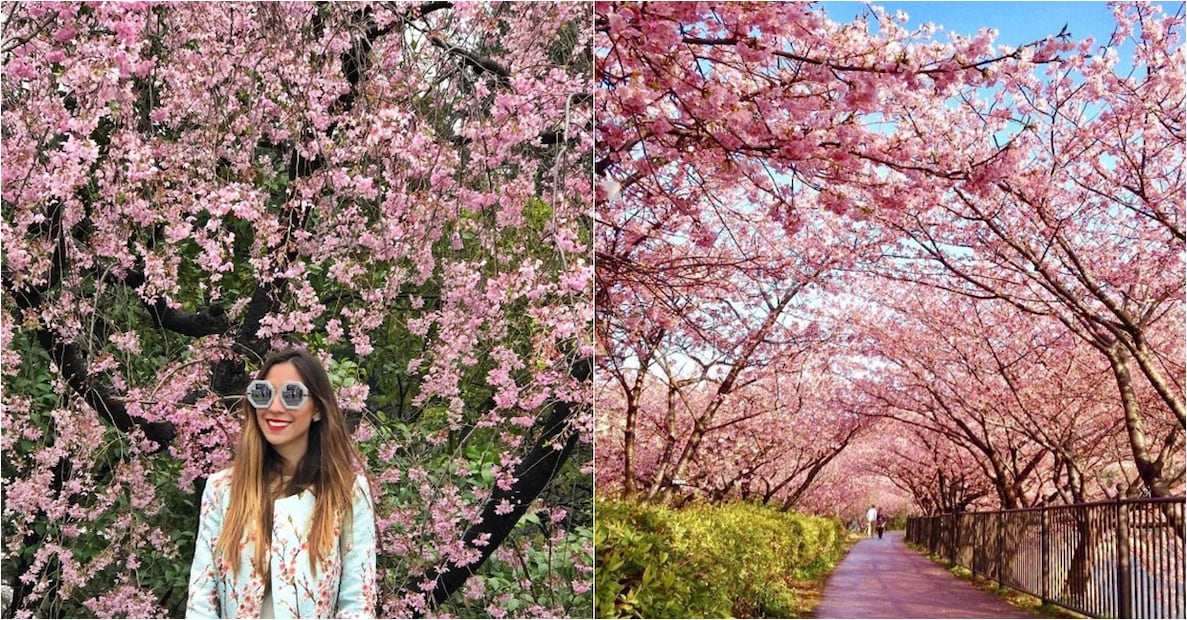 Personalidades de la sociedad mexicana que están de vacaciones en Japón