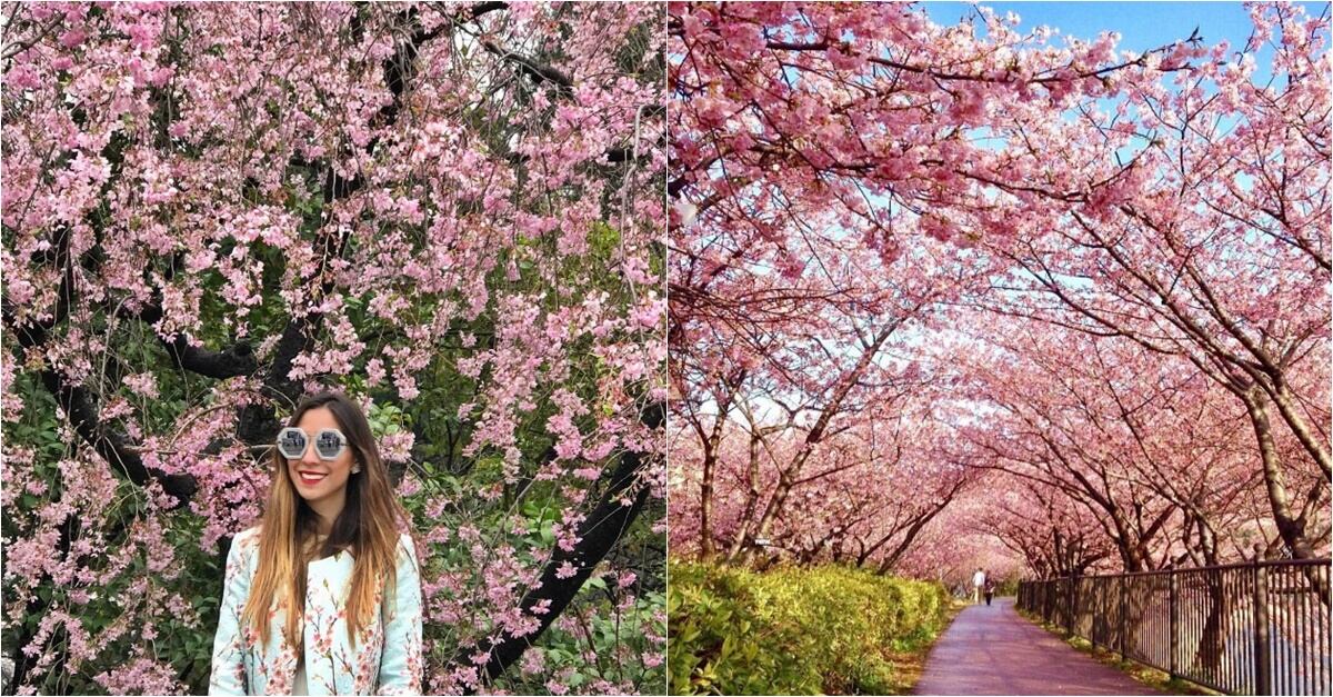 Personalidades de la sociedad mexicana que están de vacaciones en Japón