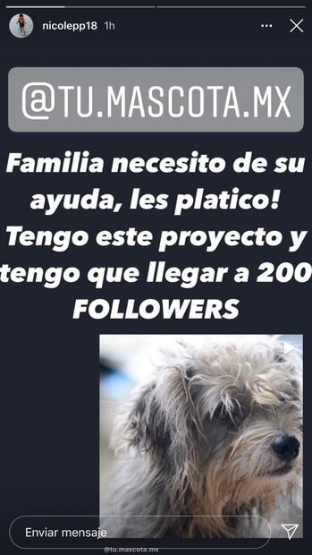 Nicole Peña, hija de Enrique Peña Nieto, presume su nuevo proyecto 