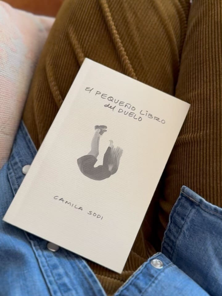 El pequeño libro del duelo. (Foto: Instagram)