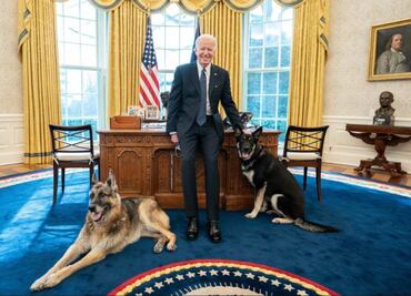 Joe Biden saca de la Casa Blanca a sus perros por acto de violencia