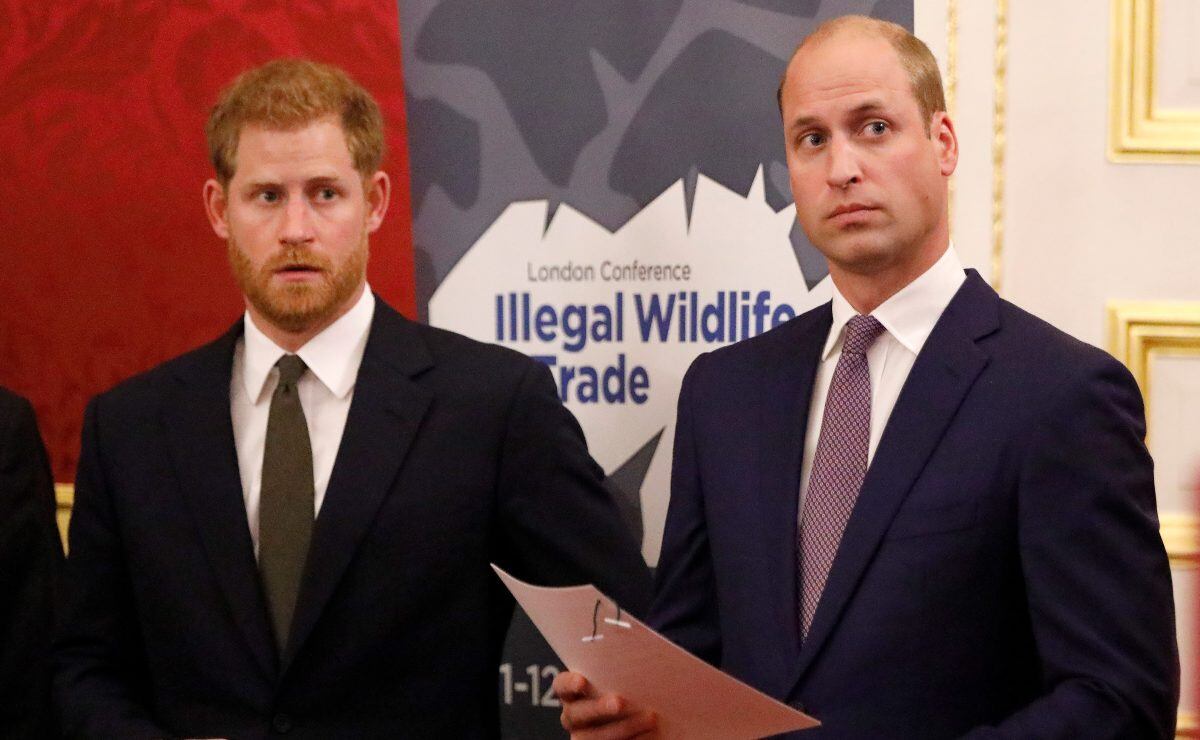 Príncipe Guillermo y Harry denunciados por una transacción ilegal