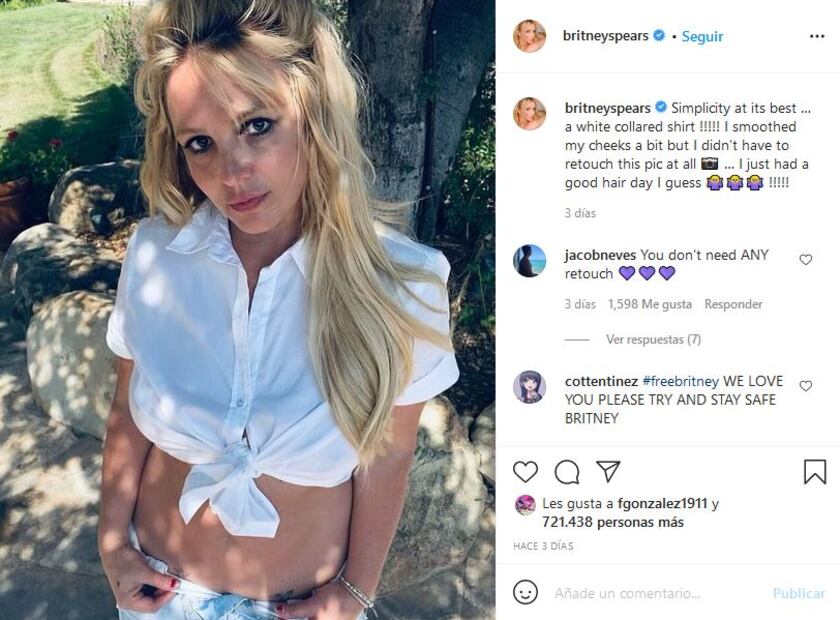 Britney Spears: ¿Quién será su nuevo tutor?
