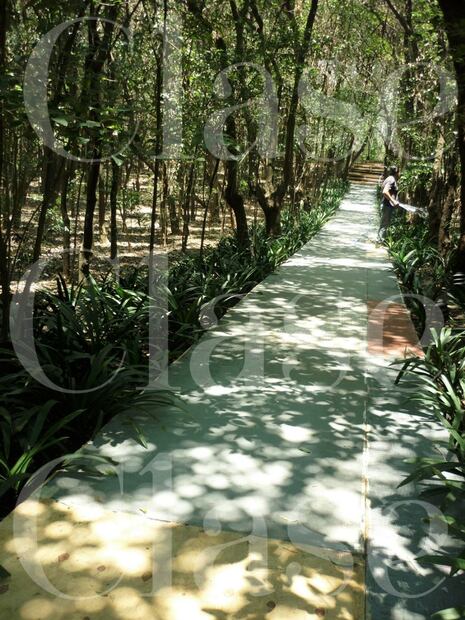 FOTOS EXCLUSIVAS: Los preparativos de la boda de Eruviel Ávila y María Irene Dipp Walther