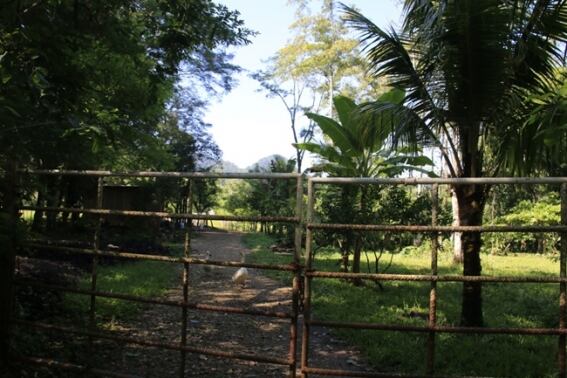 Así es la Finca Rocío de los hijos del presidente López Obrador