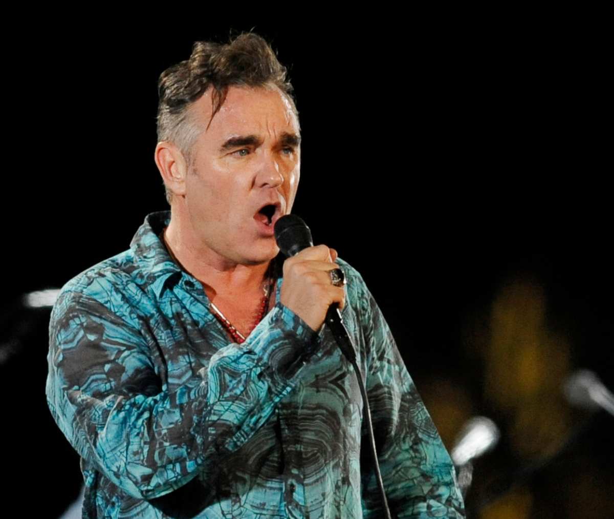 Morrissey critica a "Los Simpson" por parodiarlo como un ser racista y panzón