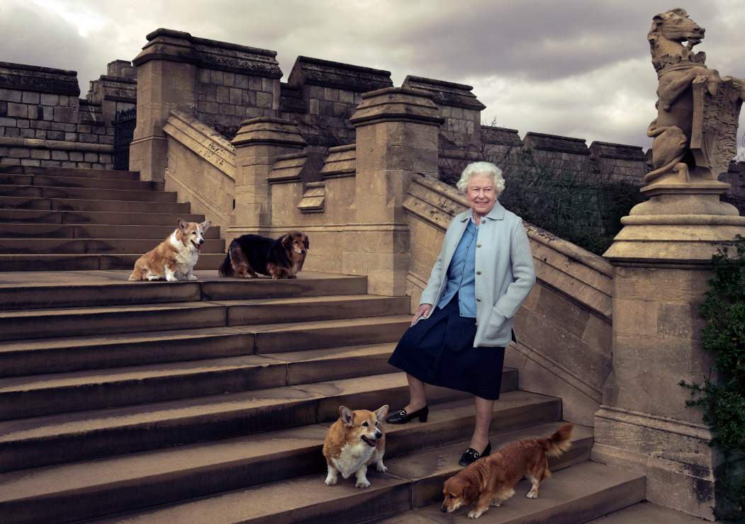 Isabel II devastada: muere el cachorro que Andrés de York le regaló tras el fallecimiento del príncipe Felipe