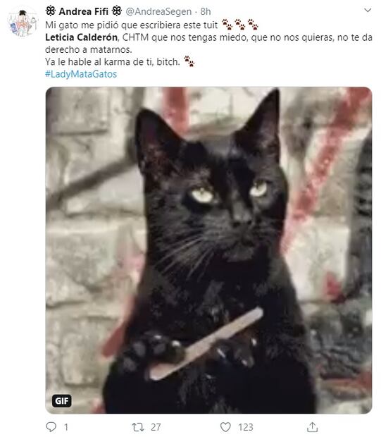 "Si veo un gato en periférico, lo atropello": Leticia Calderón y su fobia a los gatos