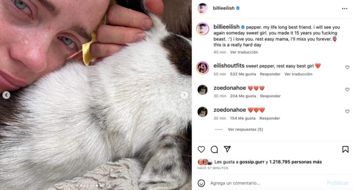Instagram: @billieeilish
