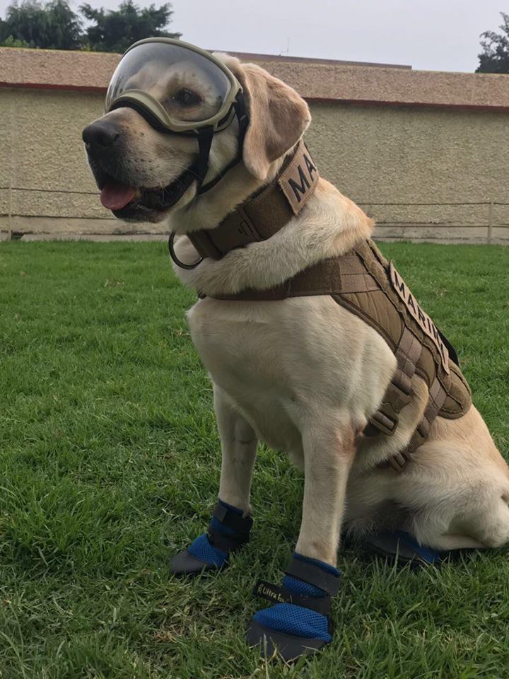 Frida, uno de los rostros de la esperanza en México