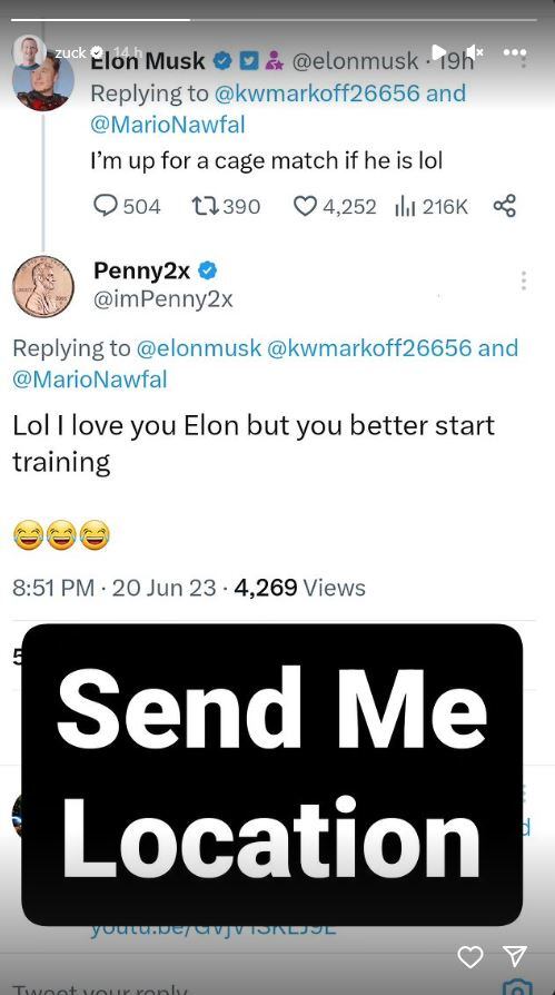 Mark Zuckerberg aceptó el reto de Elon Musk / Instagram