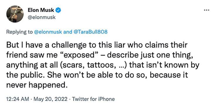 Elon Musk pide a supuesta víctima que describa sus partes privadas