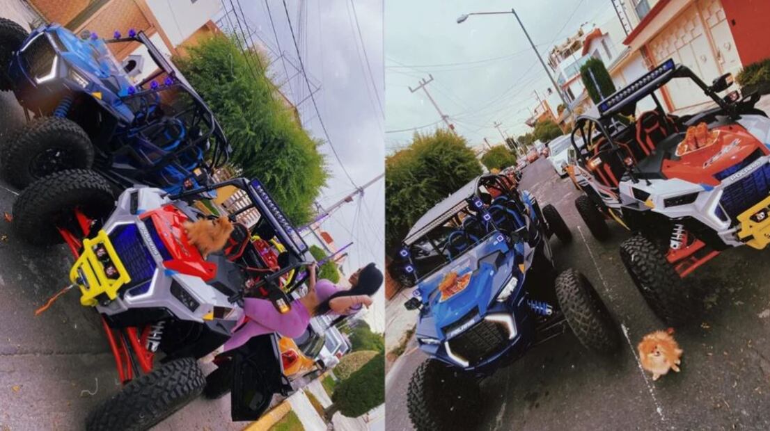 La influencer detenida Gaby Castillo se fotografiaba con coches de lujo