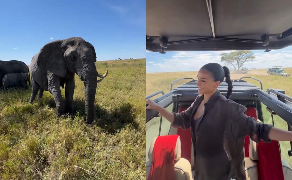 Ale Capetillo compartió algunos vistazos de su luna de miel en África / Foto: Instagram @alecapetillog